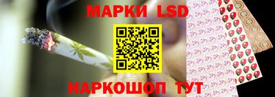 СК Дубна