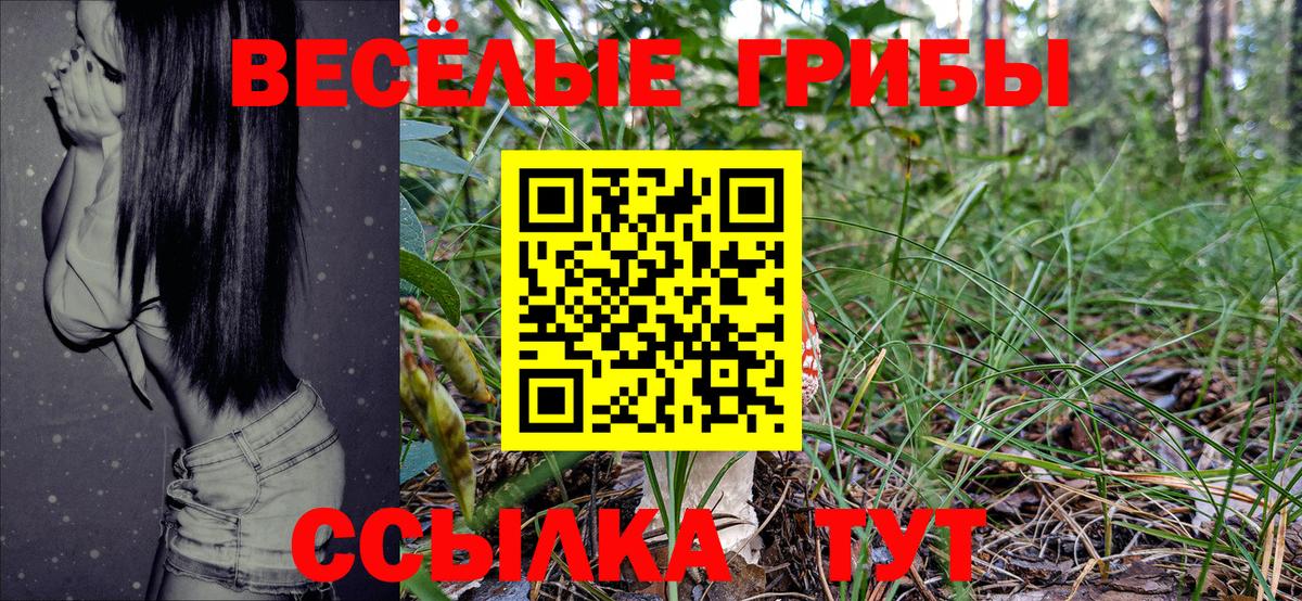 Псилоцибиновые грибы Magic Shrooms  Вход с VPN  Можга 